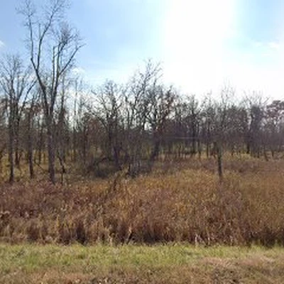 R&R Forest Service