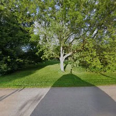 Viking Tree Service LLC