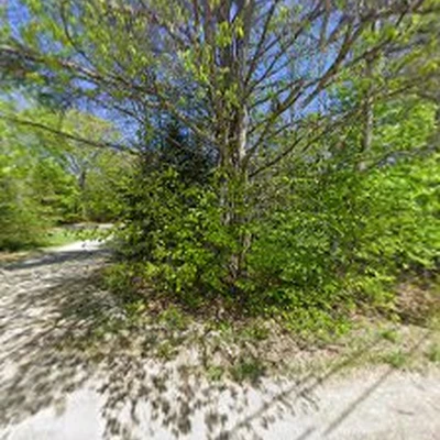 Poulin Tree LLC
