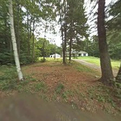 Tree Scouts LLC
