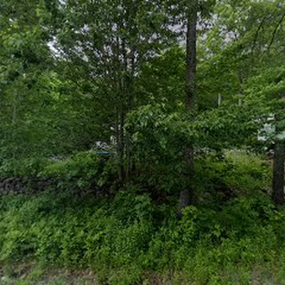 A-1 Waterman's Tree Services
