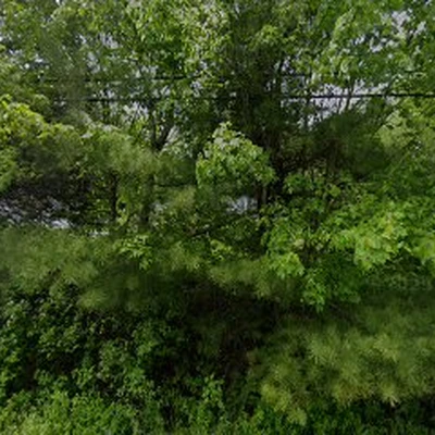 Tidewater Tree Care