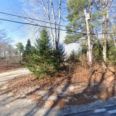 King’s Pine Tree Service