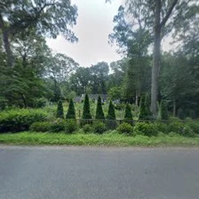 Collins Tree Experts