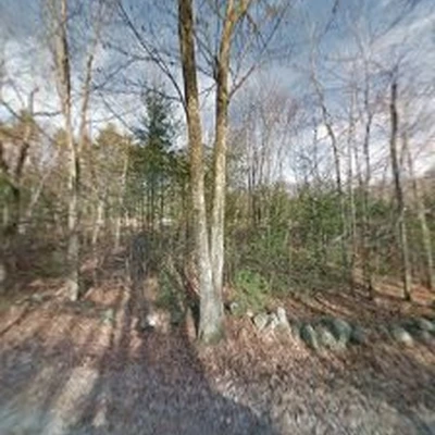 Whitcomb Excavation & Property Maintenance LLC.