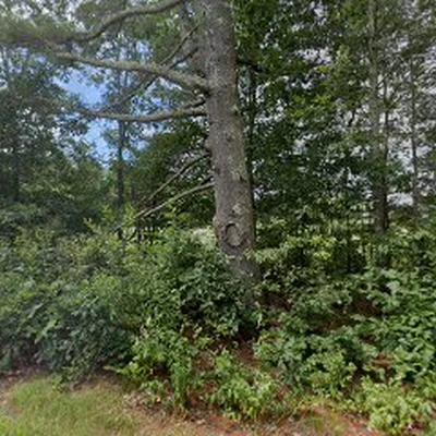Winnepocket Landscaping