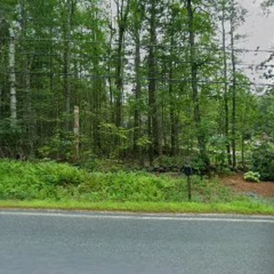 Todd Wilkins Tree & Landscaping Services