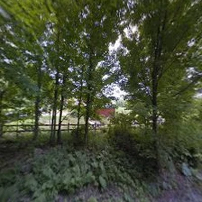Ecotone Landscapes & Tree Care
