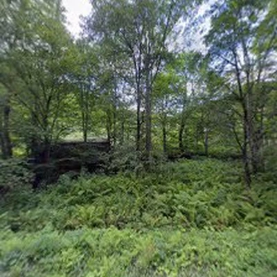 ArborScape Inc.