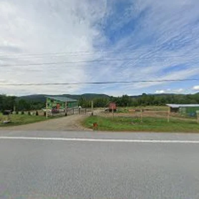 Small Town Tree Service, LLP