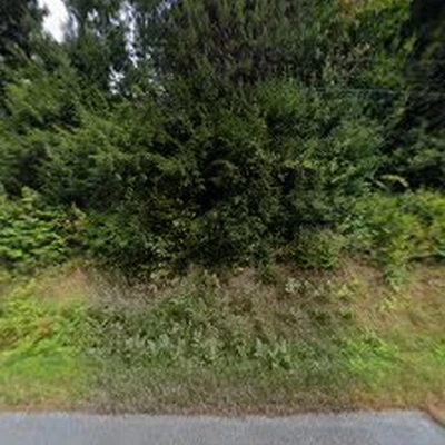 Tree Protection Services