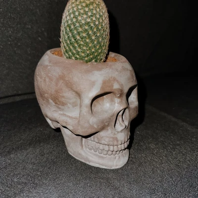 Plant Mafia