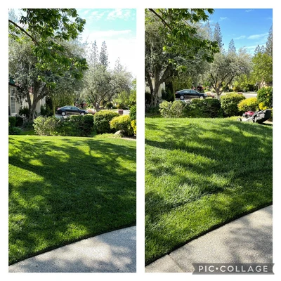 Cutting Edge Property Solutions
