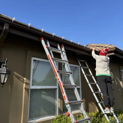 Cribcrew Property Solutions
