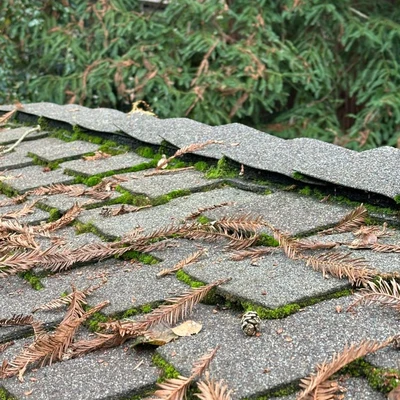 Infinite Roofing Solutions