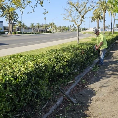 Northcali Landscaping & Tree Services