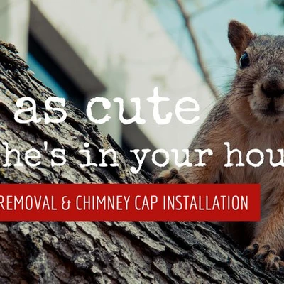 Stl Chimney