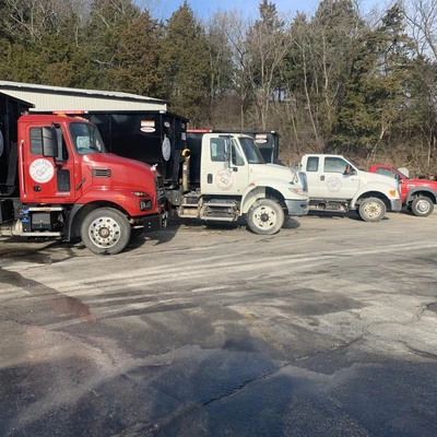 Tidy Bug Dumpsters