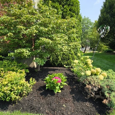 Wilson Loyalty Landscaping Services