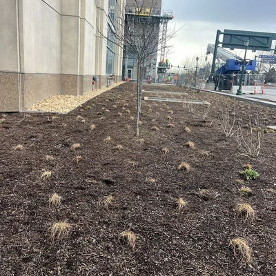 Vail Lawncare and Landscaping