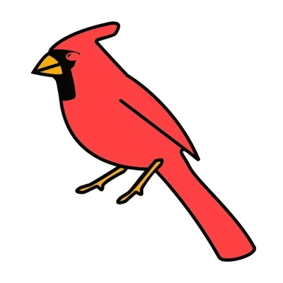Redbird Cleaning & More