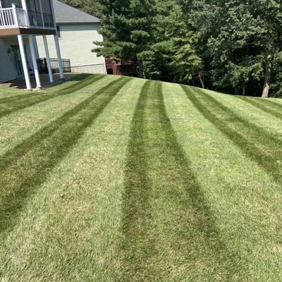 Lawns Unlimited