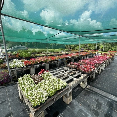 Thies Farm and Greenhouses