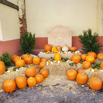 Bowood Farms