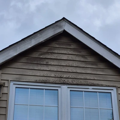 Tank Pressure Washing