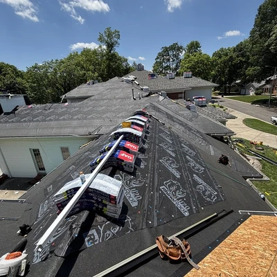 Black Dog Roofing