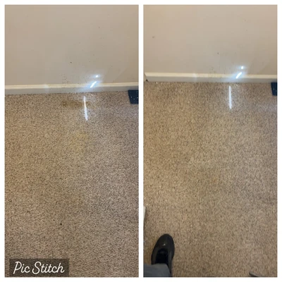 King Klean Carpet Cleaning