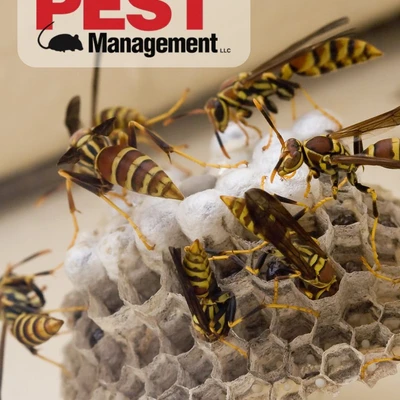 Midway Pest Management
