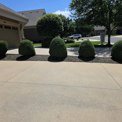 HV & Gluis Lawn Service
