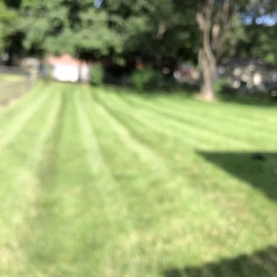 The Lawn Fellaz