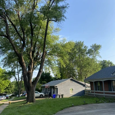 Top Quality Tree & Lawn Service