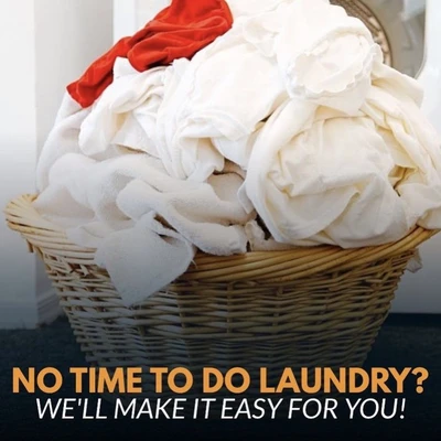 Bag Lady Laundry Service