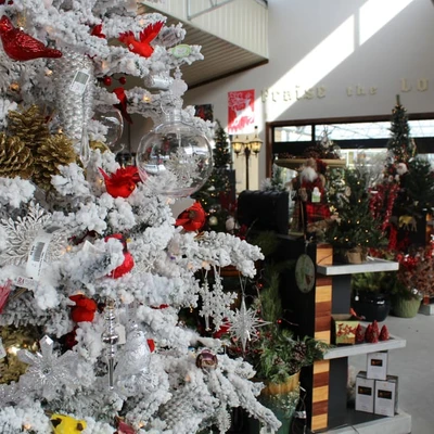 Family Tree Nursery