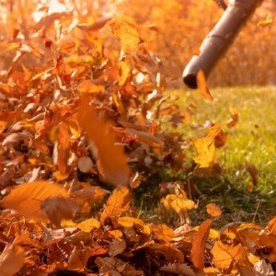 Leaf & Snow Removal Guys