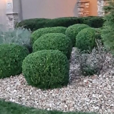 Like Magic Lawn & Landscaping