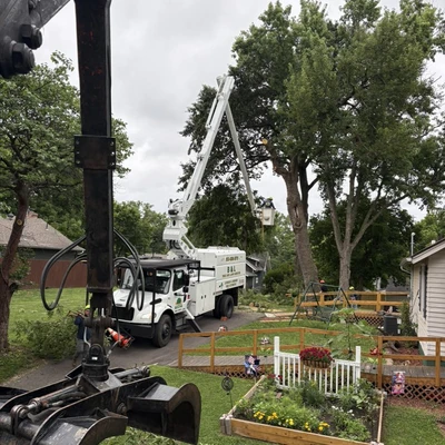 B&L Tree and Lawn Services