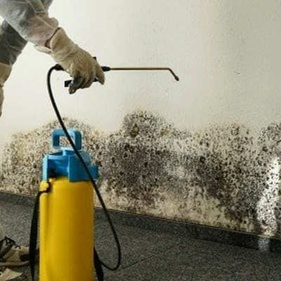 Mold Experts of Missouri & Kansas