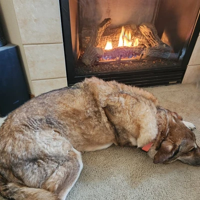 Phil's Fireplace Service