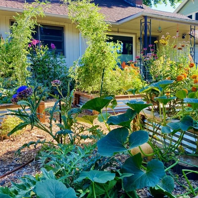 PNW Permaculture & Garden