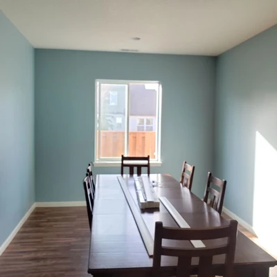 Cbs Professional Painters