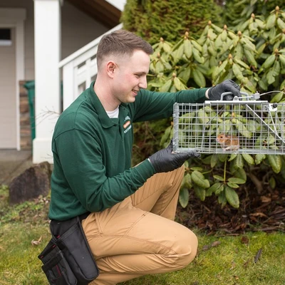 Campbell Natural Pest Control