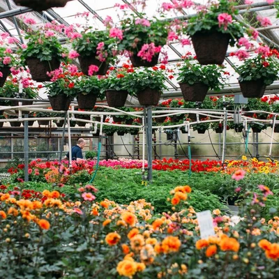 Marbott's Greenhouse & Nursery
