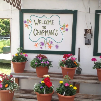 Chapman's Greenhouse