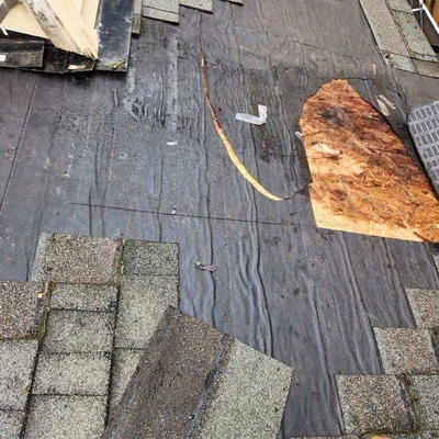 Tonys Roofing