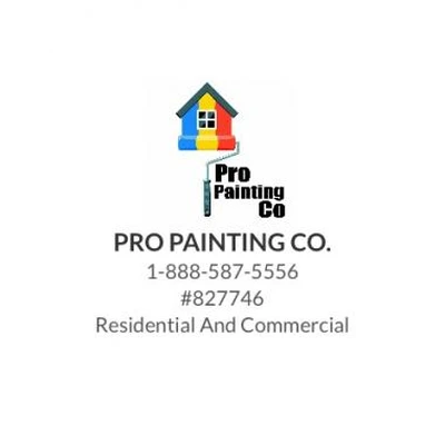 Pro Painting Co LLC