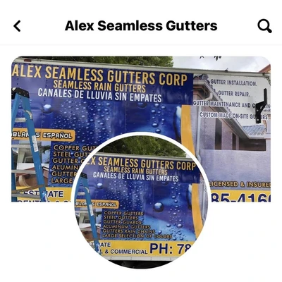 Alex Seamless Gutters